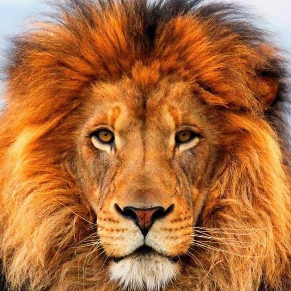 Meet your Posher, Debra - Picture 5 of 5